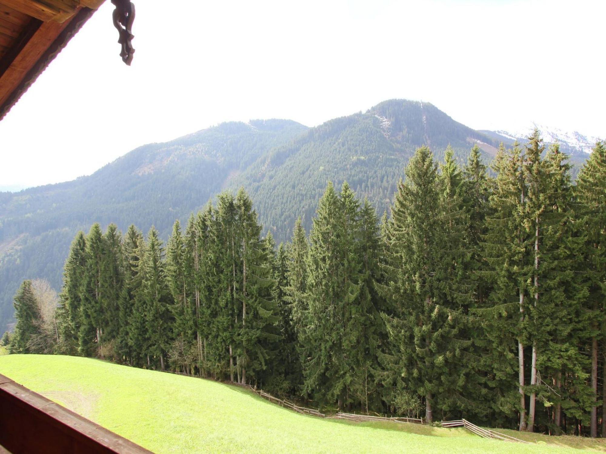 Apartment Modern In F Genberg With Garden *